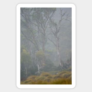 Lake St Clair Cradle Mountain National Park 02 Sticker